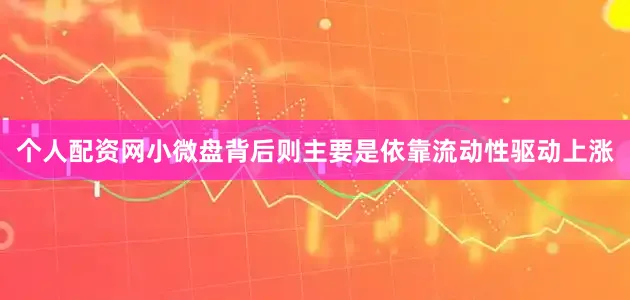 个人配资网小微盘背后则主要是依靠流动性驱动上涨
